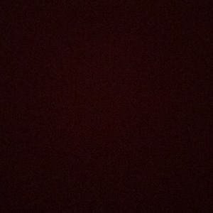 Meet your Posher, Daisy